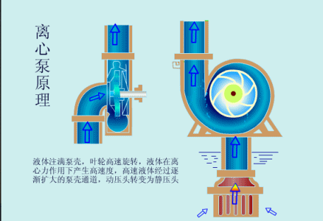 7.gif