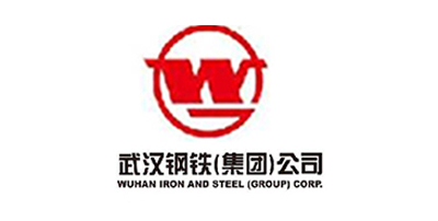 武汉钢铁集团
